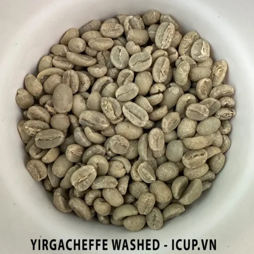 Cà phê nhân xanh Ethiopia yirgacheffe chế biến ướt iCup.vn