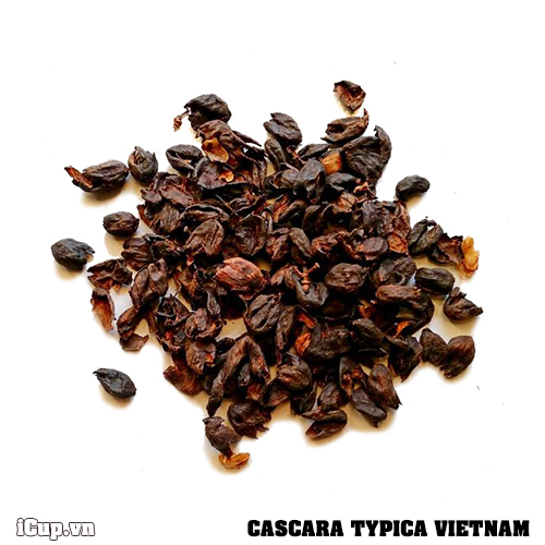 Trà Cascara từ vỏ quả cà phê Typica Lâm Đồng – 100g