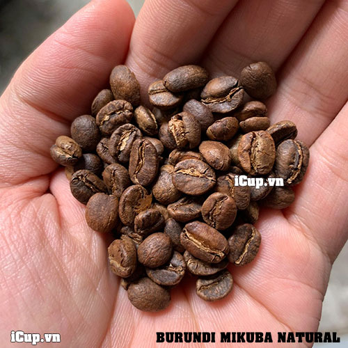 Cà phê Burundi Mikuba đã được rang