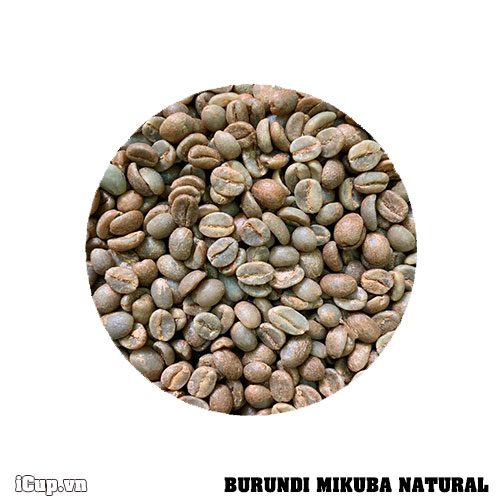 Cà-phê-nhân-xanh-burundi-mikuba-natural
