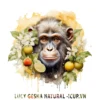 LUCY GESHA NATURAL ICUP.VN