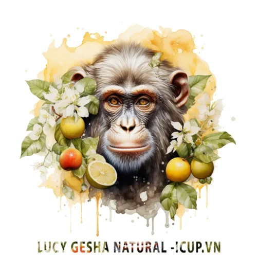 LUCY GESHA NATURAL ICUP.VN