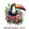 Cà phê Costa Rica Hacienda San Ignacio Natural 62h | 250g