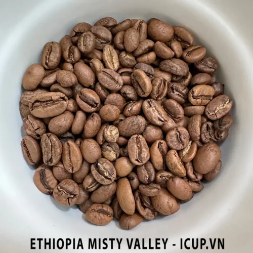 Hạt cà phê đã rang Ethiopia misty valley natural iCup.vn