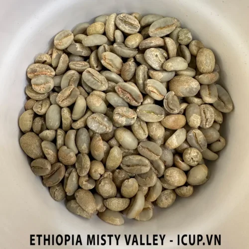 Hạt cà phê nhân xanh Misty valley natural