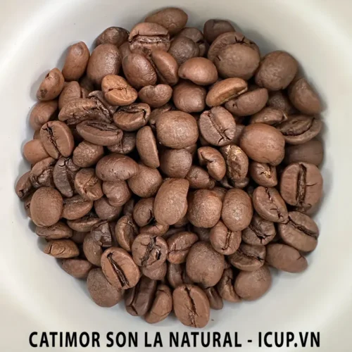 Cà phê đã rang Catimor Sơn La sơ chế khô tự nhiên
