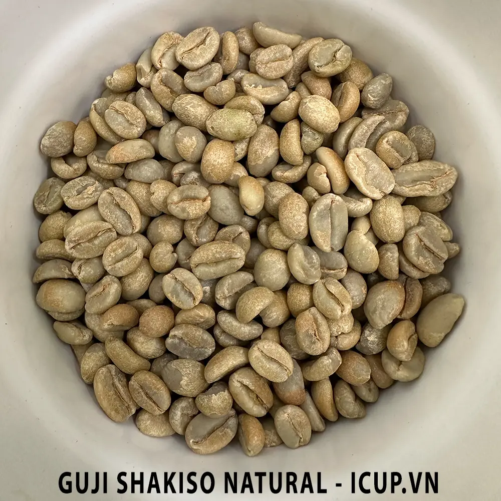 Hạt cà phê nhân xanh Guji Shakiso Natural