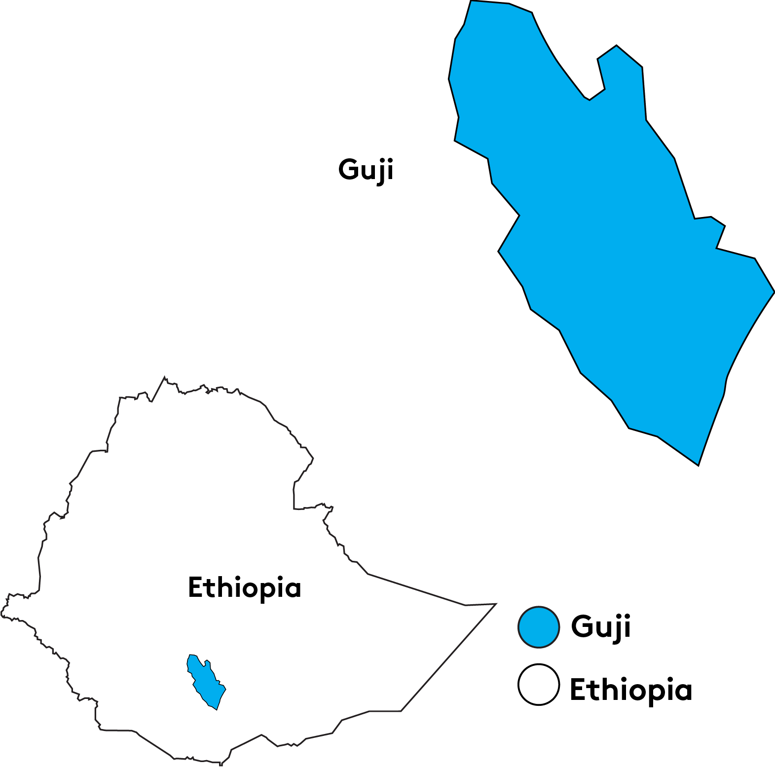 Shakiso là một quận vùng Guji của Oromia nằm ở miền Nam Ethiopia