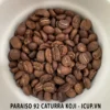 CÀ PHÊ HẠT ĐÃ RANG PARAISO 92 CATURRA KOJI