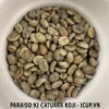 CÀ PHÊ NHÂN XANH CATURRA KOJI
