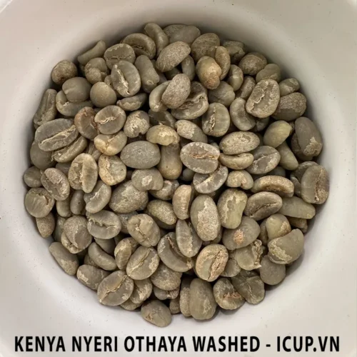 Cà phê nhân xanh Kenya Nyeri Othaya FCS Rurika Factory AA TOP fully washed