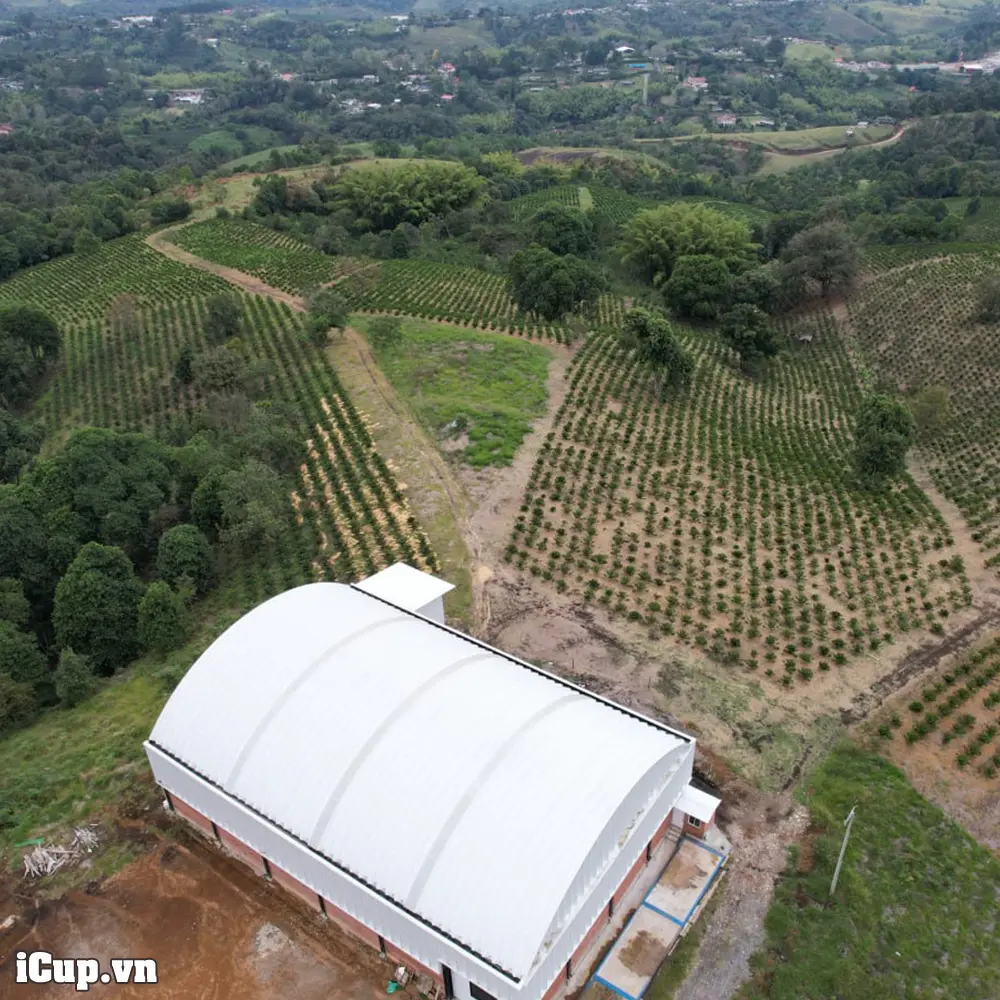 Finca El Paraiso-92 là một nông trại quy mô gia đình thuộc sở hữu của Wilton Benitez