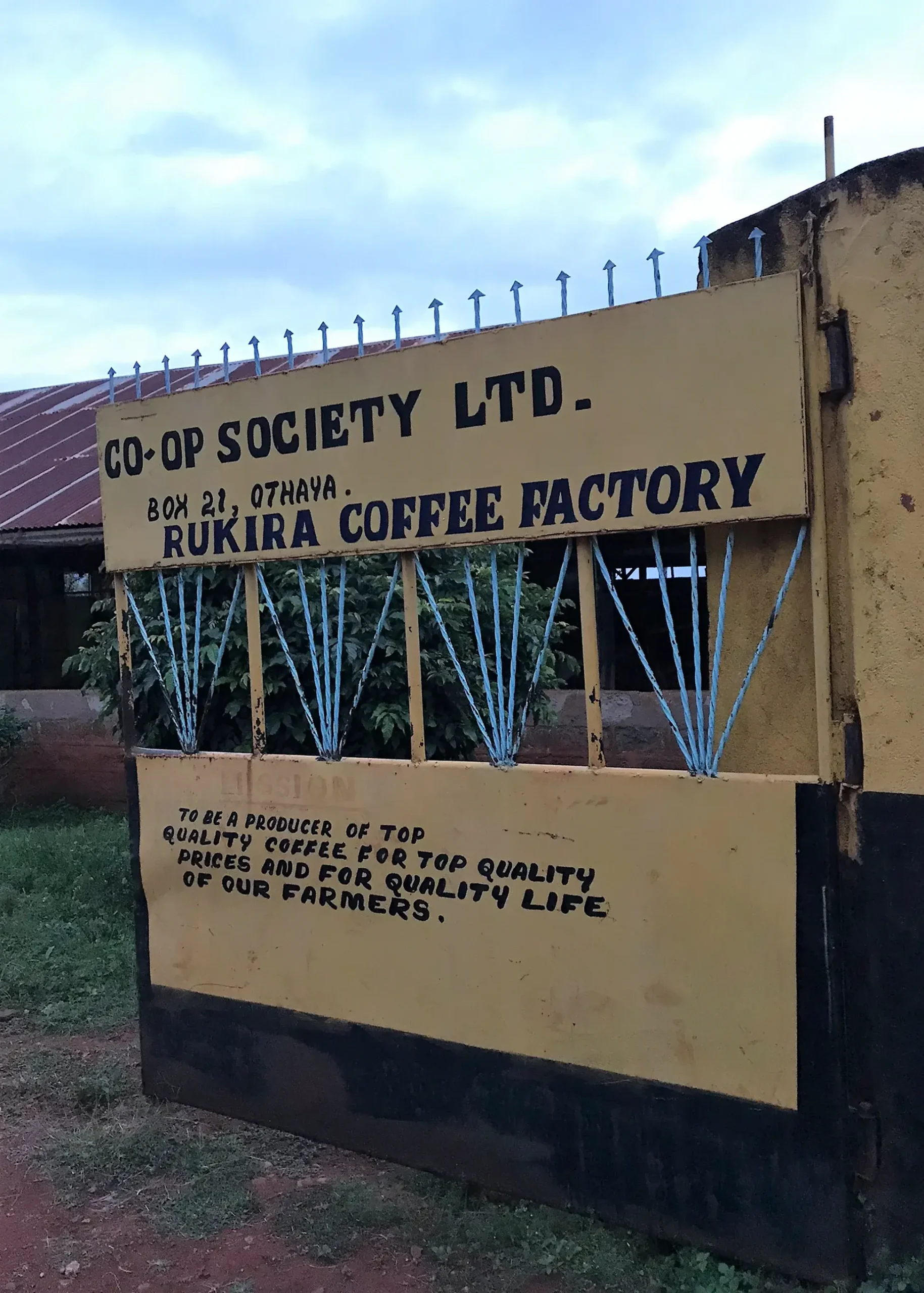 Rurika là nhà máy sơ chế cà phê tại Nyeri
