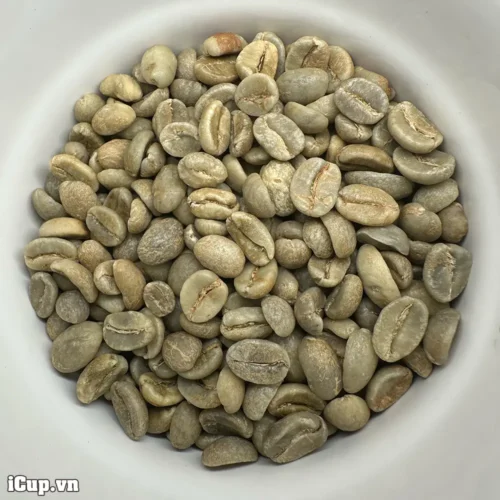 Cà phê nhân xanh Colombia Lime Mosto